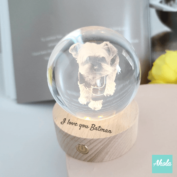 【Photograph】Crystal Ball with Laser Engraved Wooden Light 照片水晶球刻字小燈盒